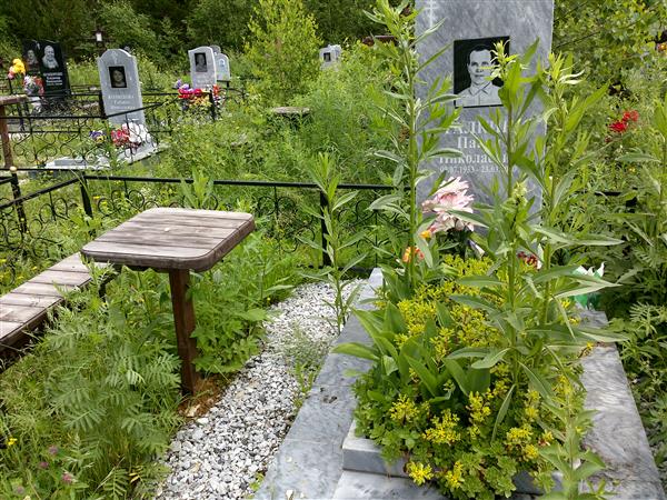 Галкин Павел Николаевич