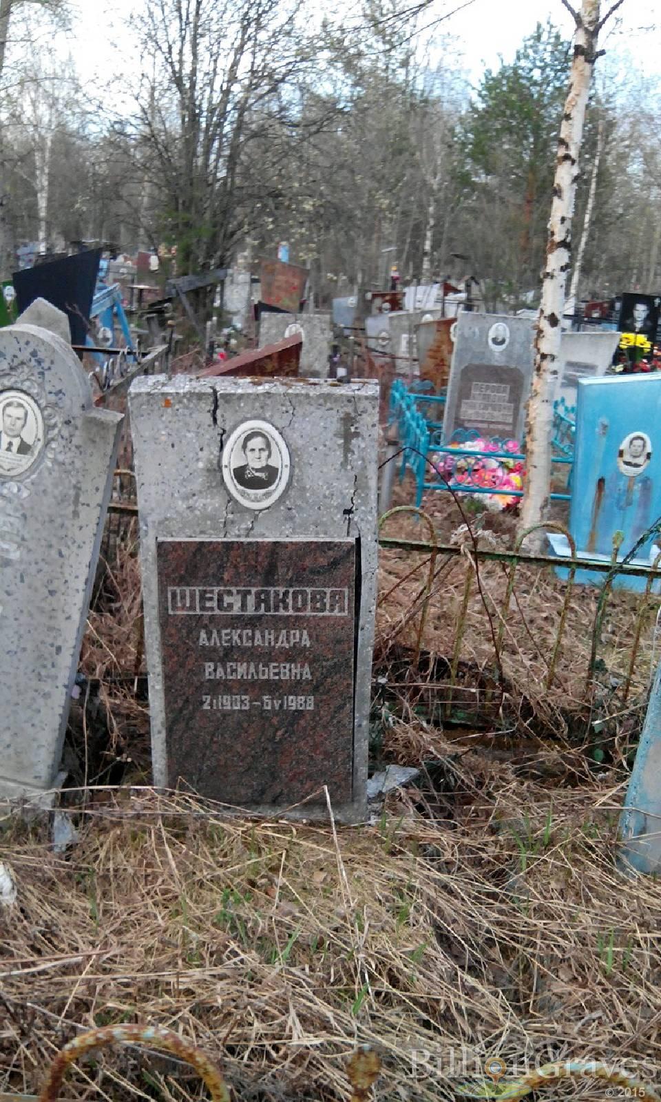Шестакова Александра Васильевна