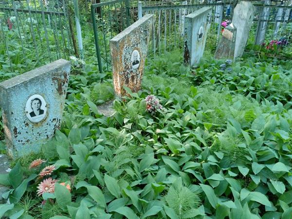 Гоманов Николай Сидорович