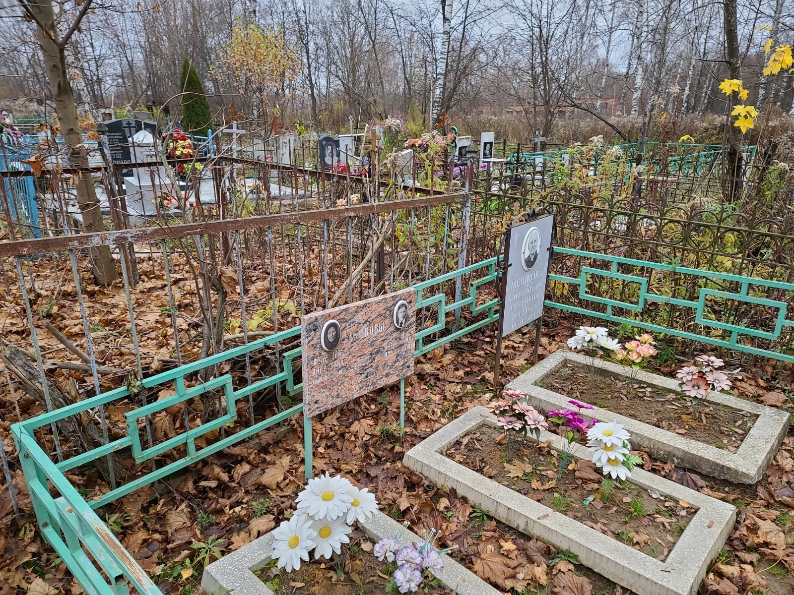 Мешкова Александра Петровна