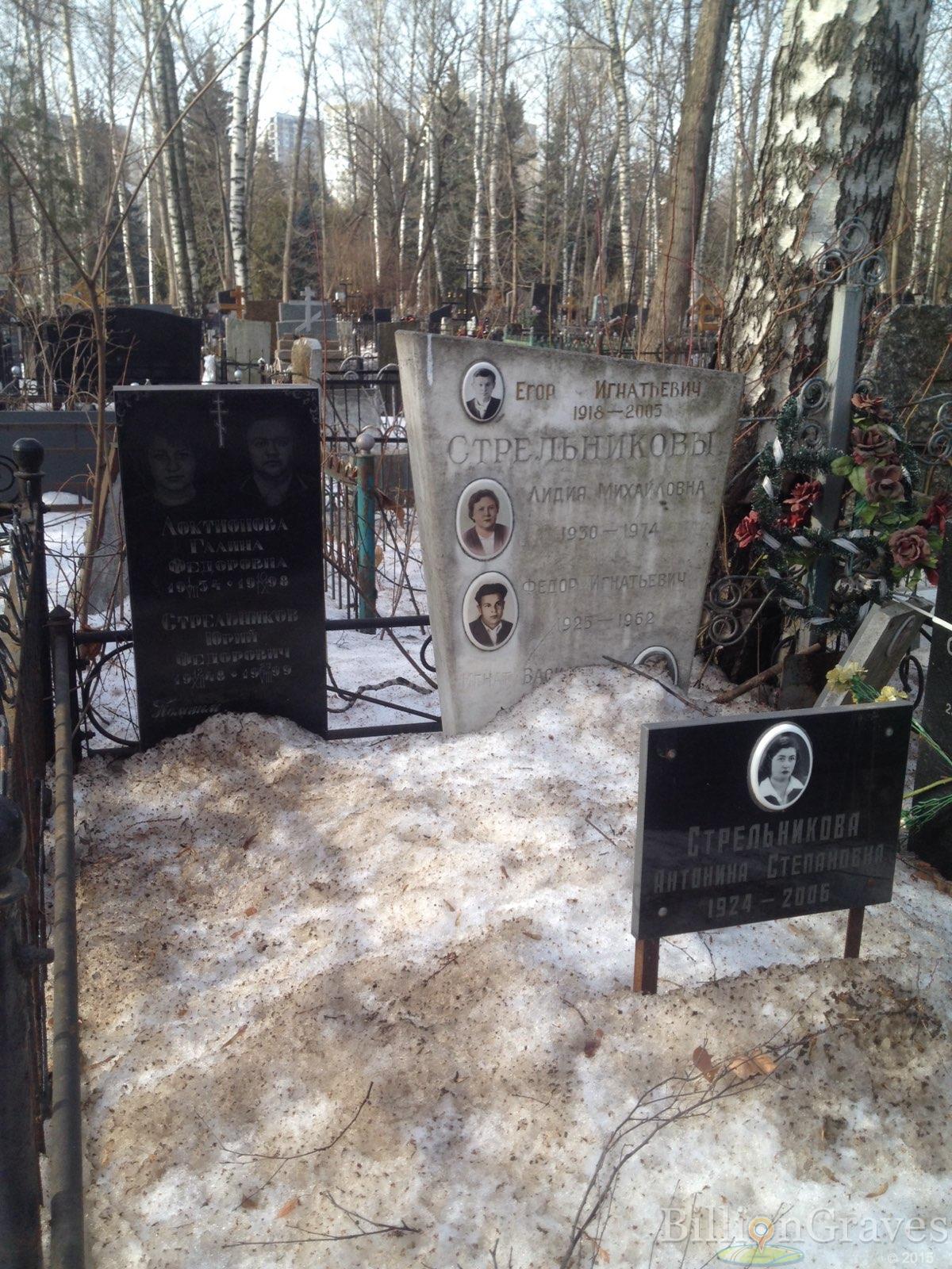 Локтионова Галина Федоровна