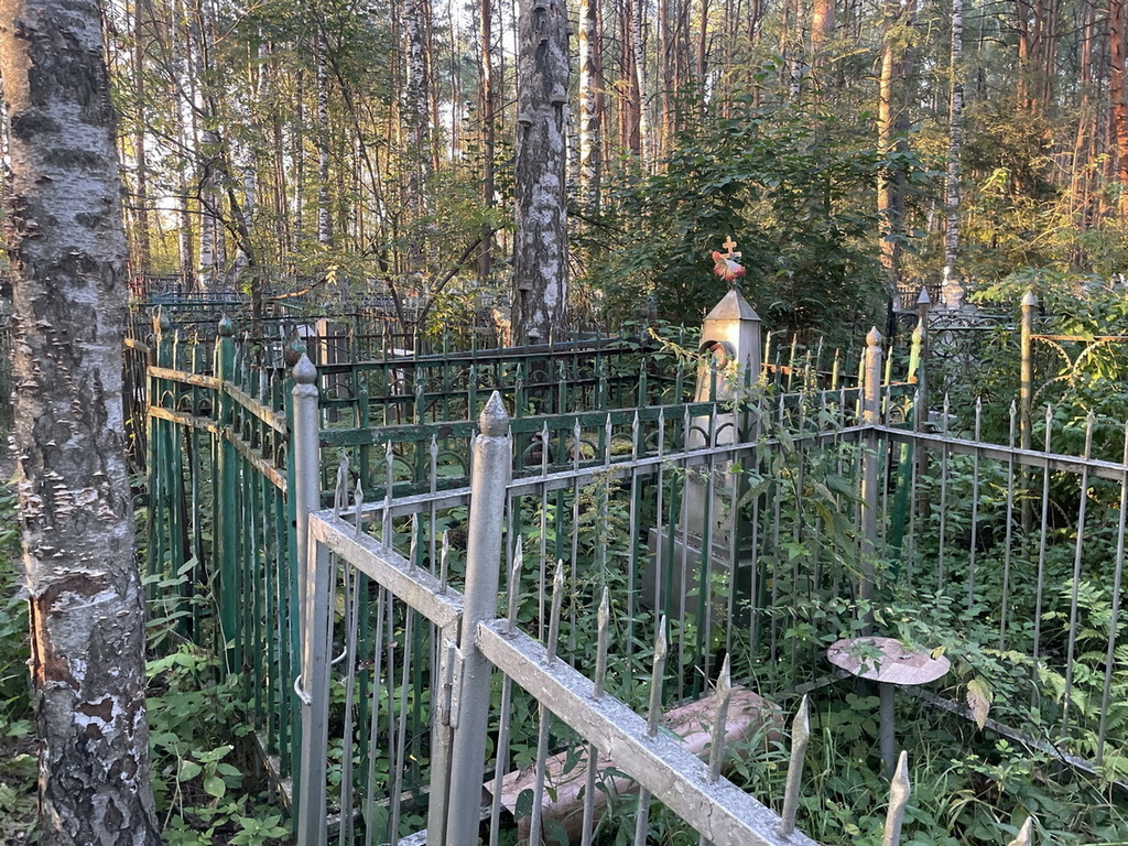 Сорокин Владимир Николаевич