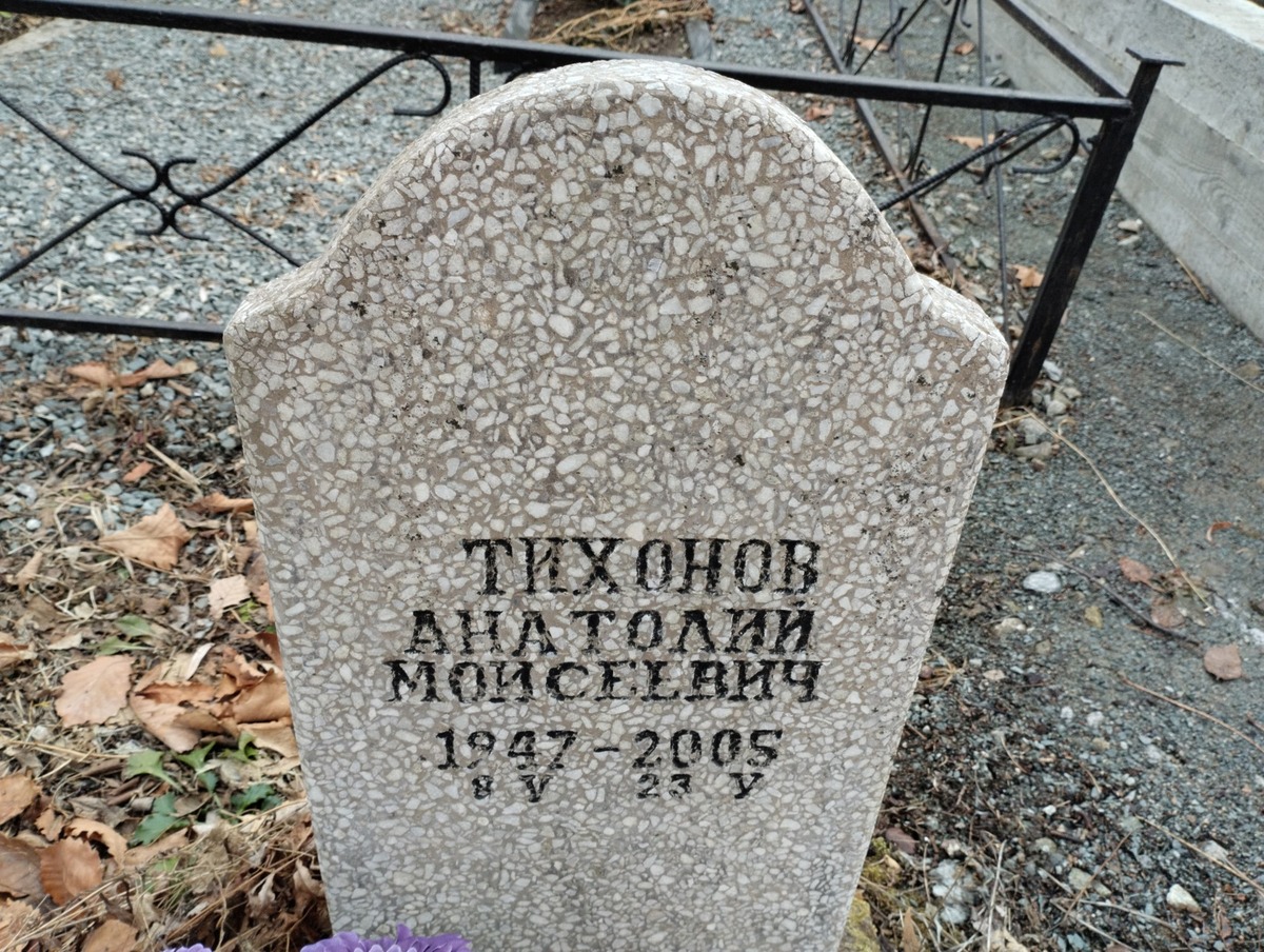 Тихонов Анатолий Моисеевич