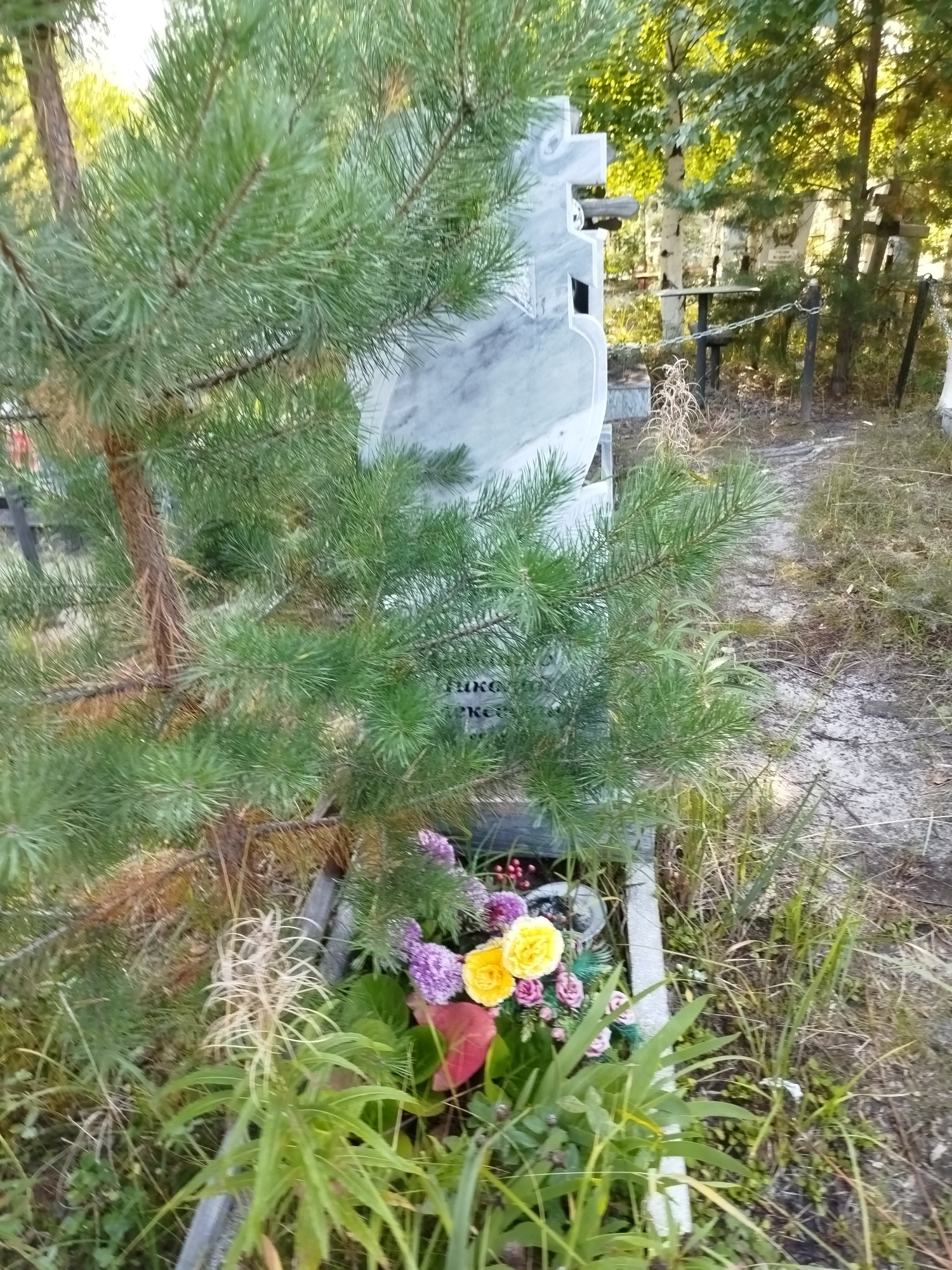 Кабашко Николай Алексеевич