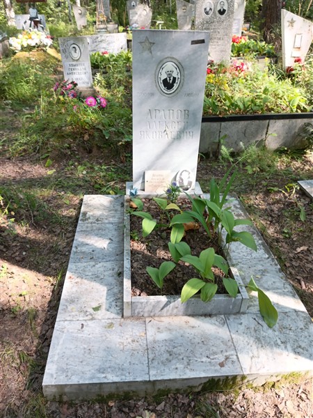 Арапов Алексей Яковлевич