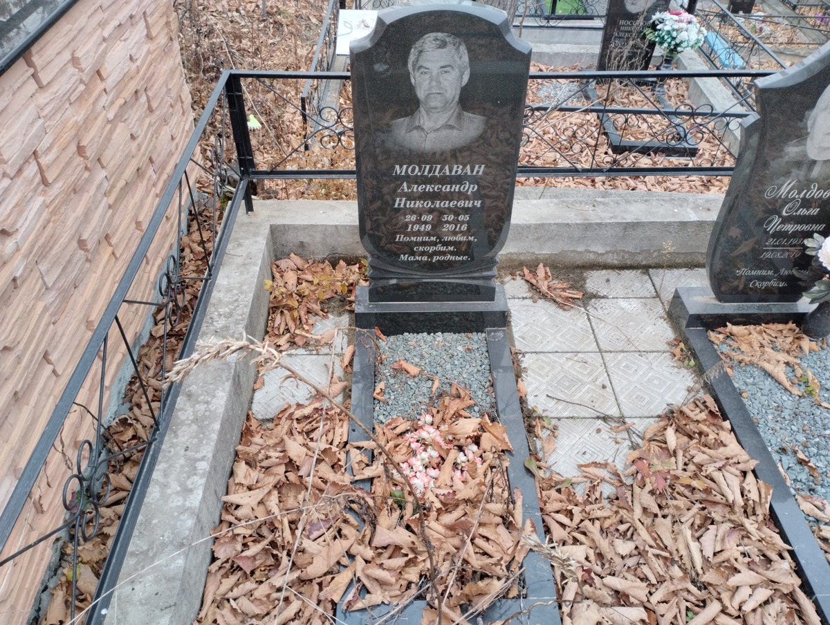 Молдаван Александр Николаевич