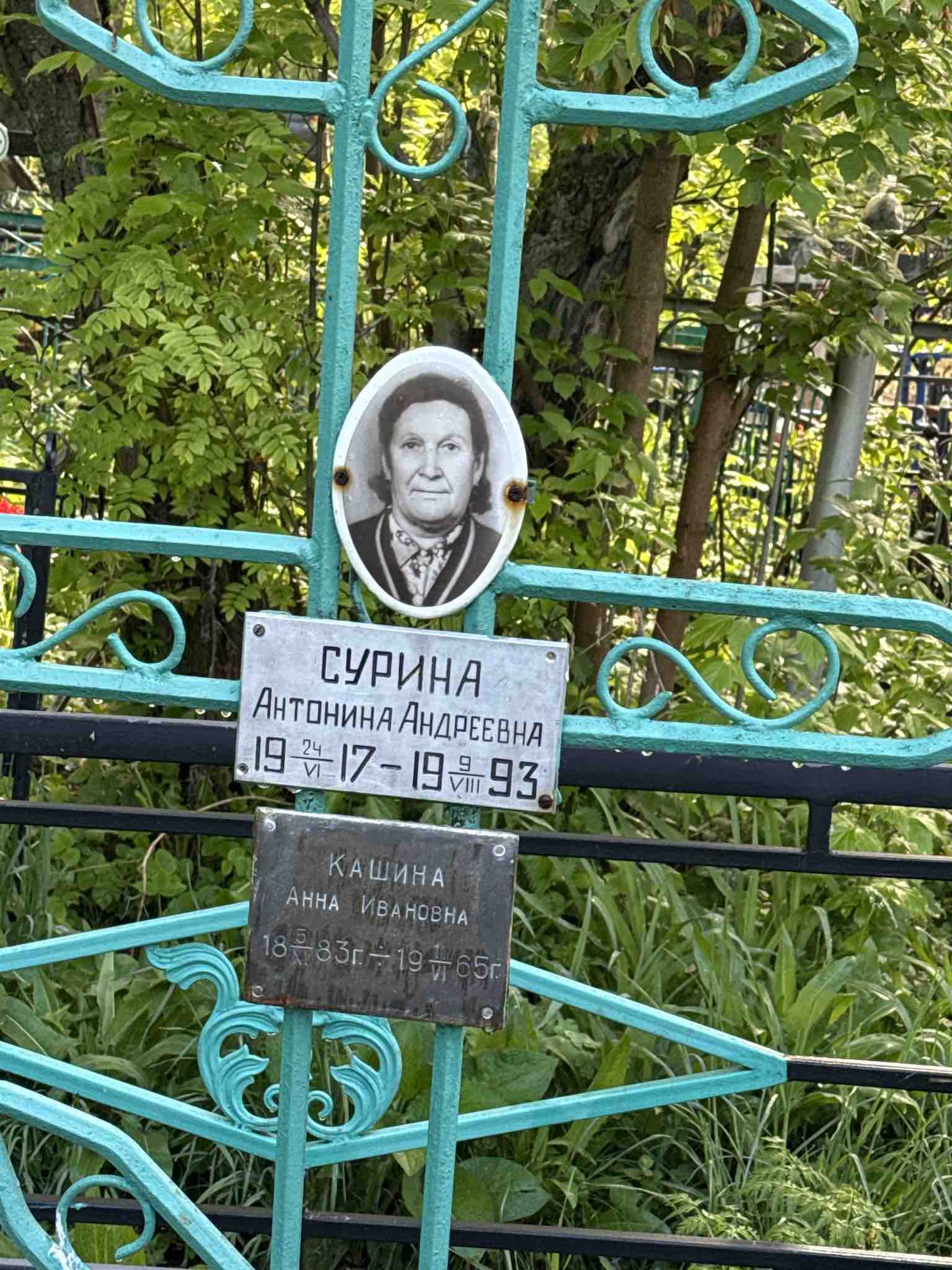 Сурина Антонина Андреевна