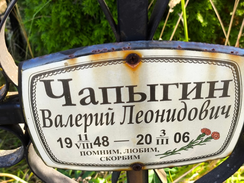 Чапыгин