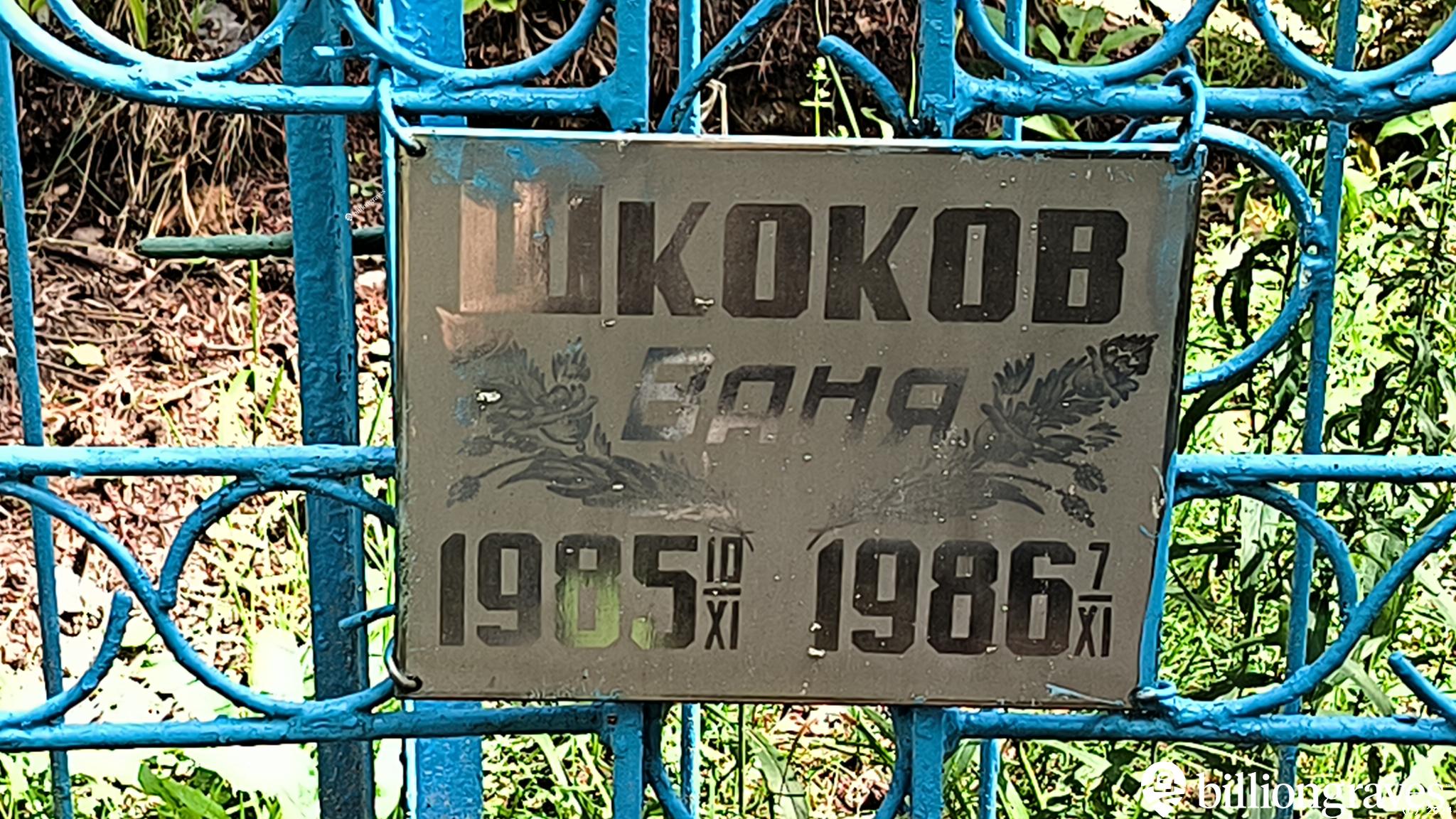 Шкоков Ваня
