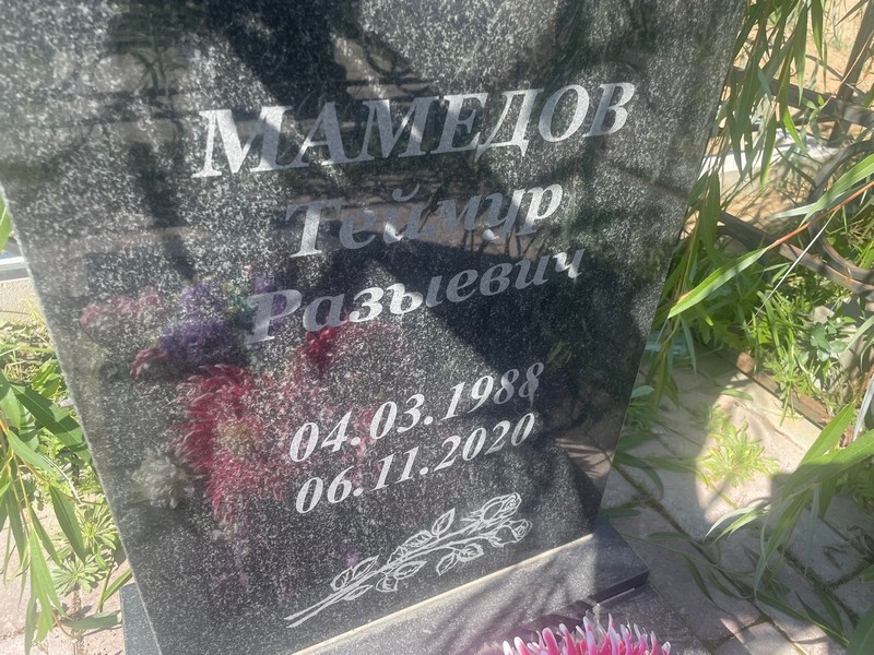 Теймур Мамедов Разыевич