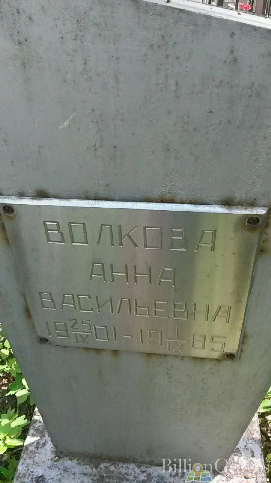 волков Александр Ильич
