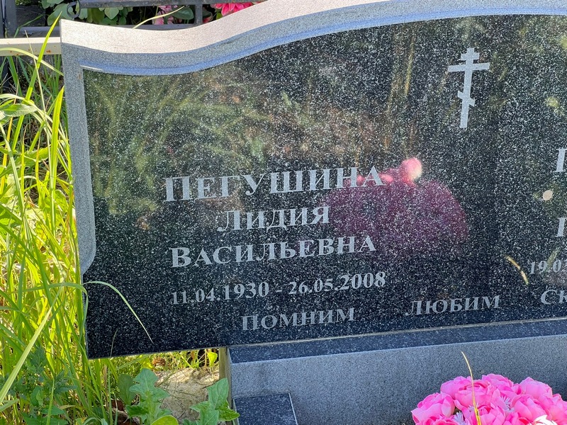 Пегушина
