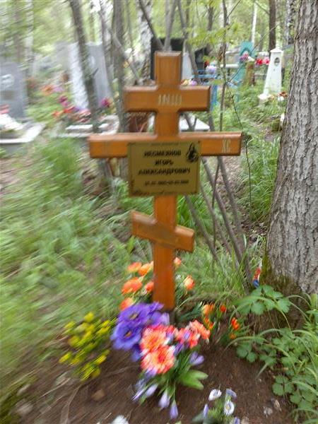 Несмеянов Игорь Александрович