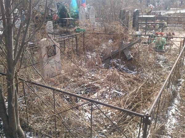 Ревизорова Тамара Александровна