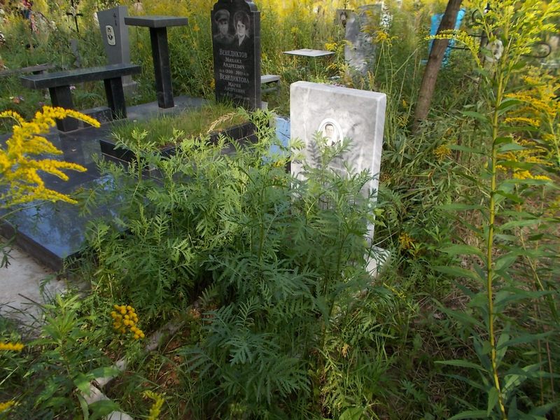 Бербасов Сергей Анатольевич