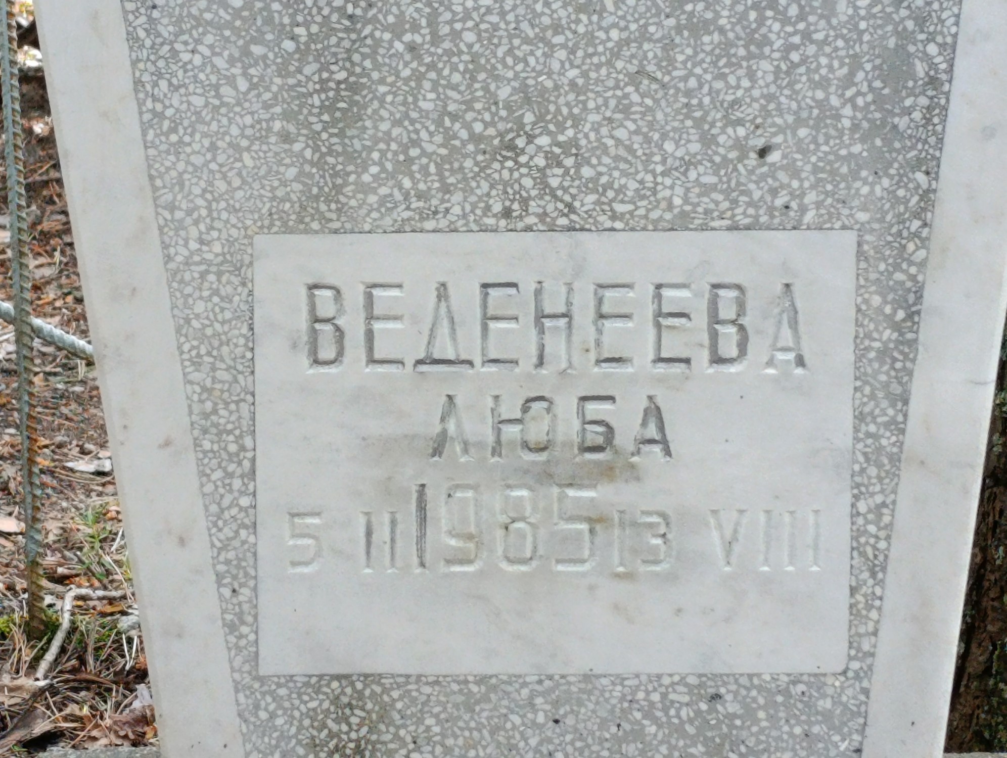 Веденева Любовь