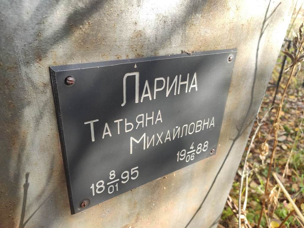 Ларина Татьяна Михайловна