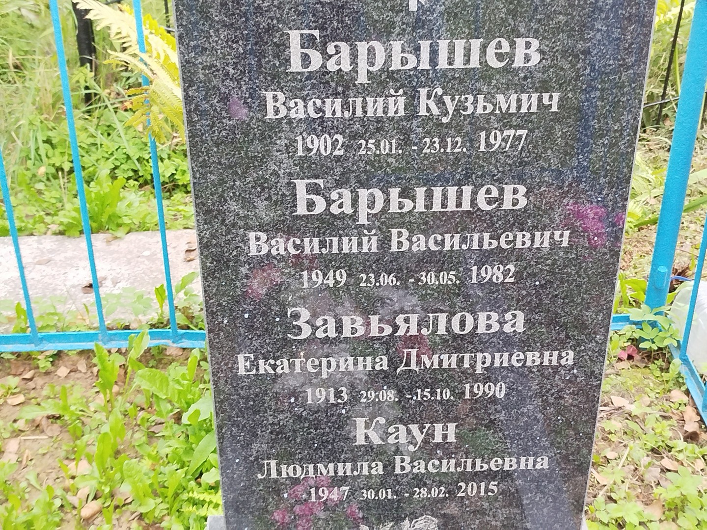 Каун