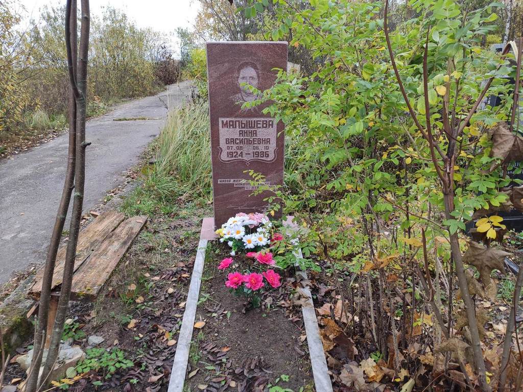 Малышева Анна Васильевна