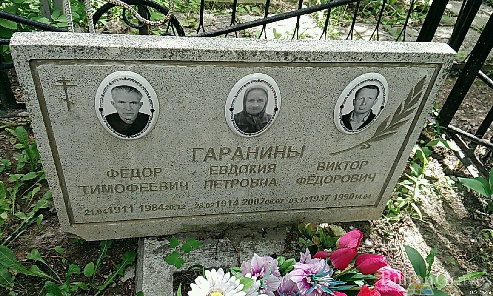 Гаранин Виктор Фёдорович