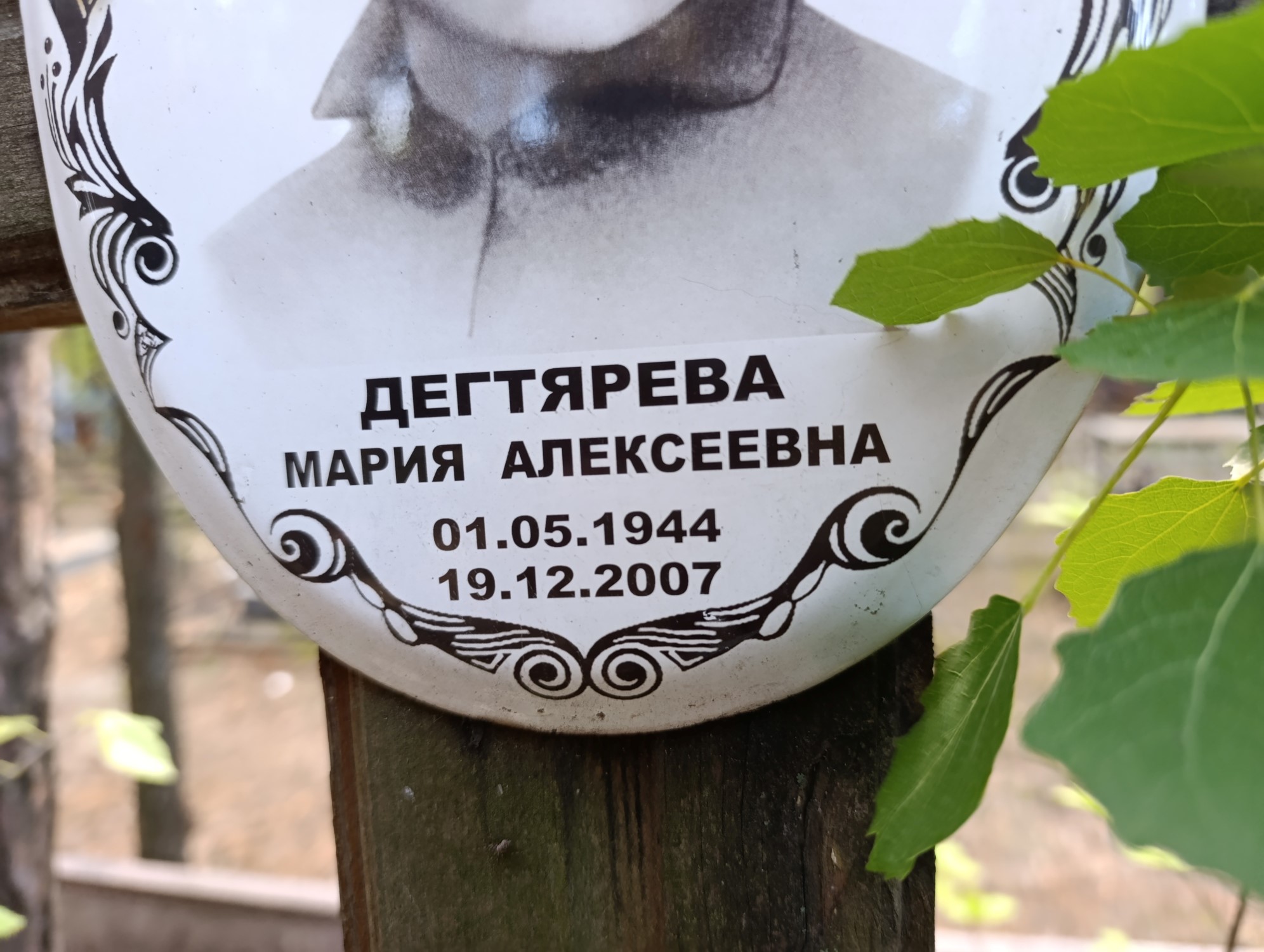 Дегтярева Мария Алексеевна
