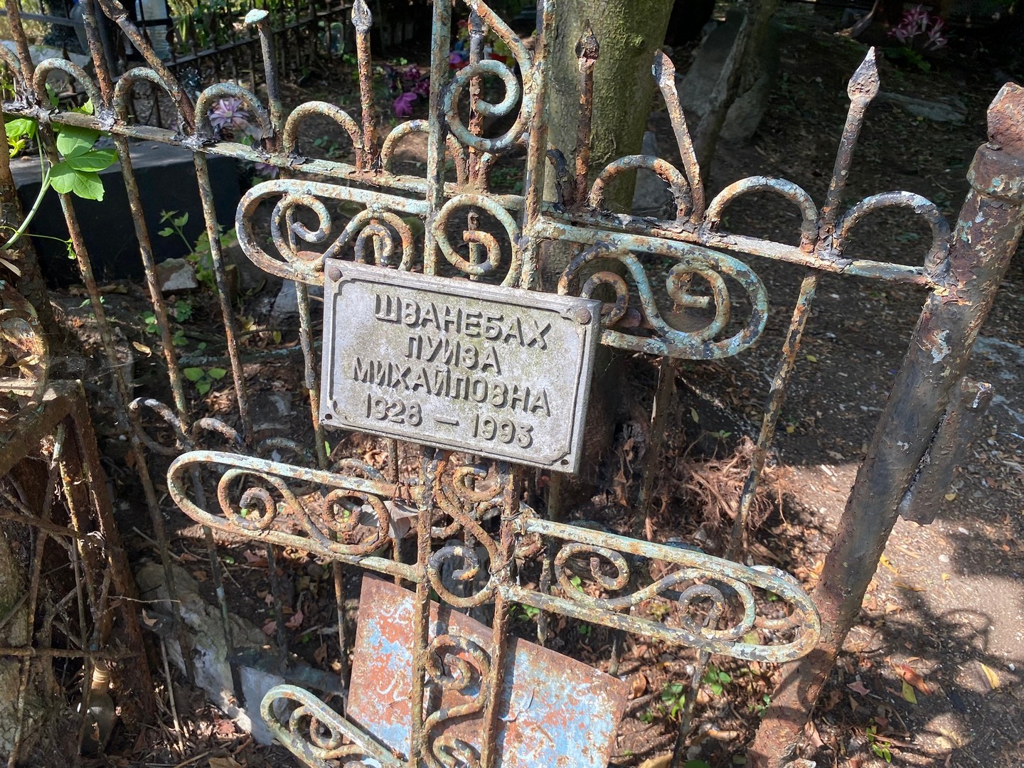 Луиза Шванебах Михайловна