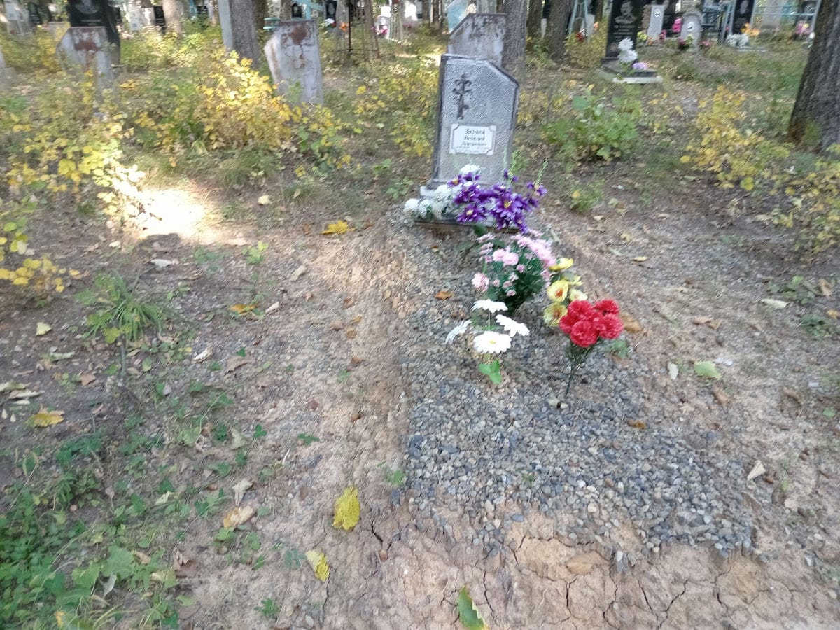 Звезка Василий Дмиртиевич
