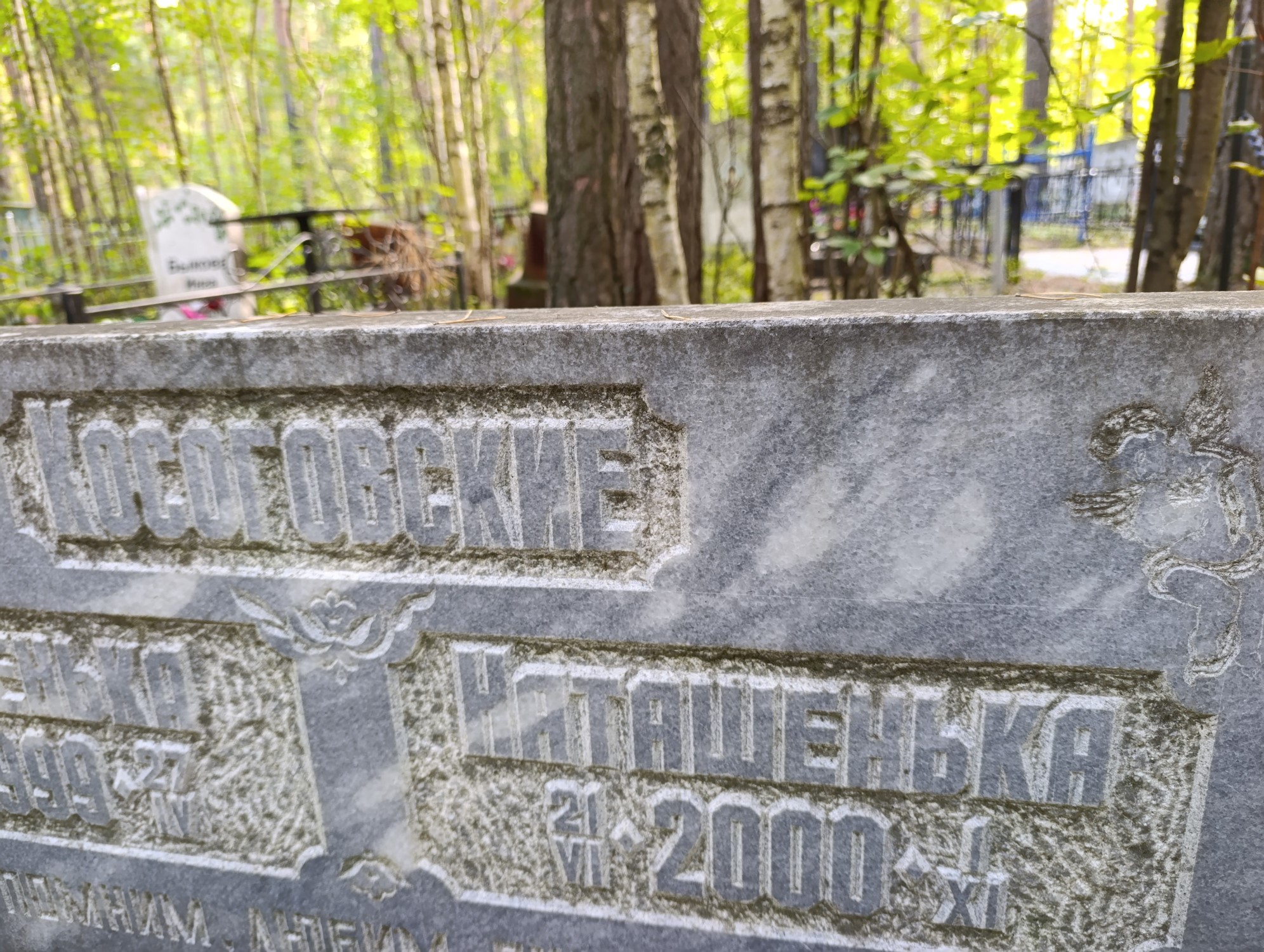 Косоговская Наталья