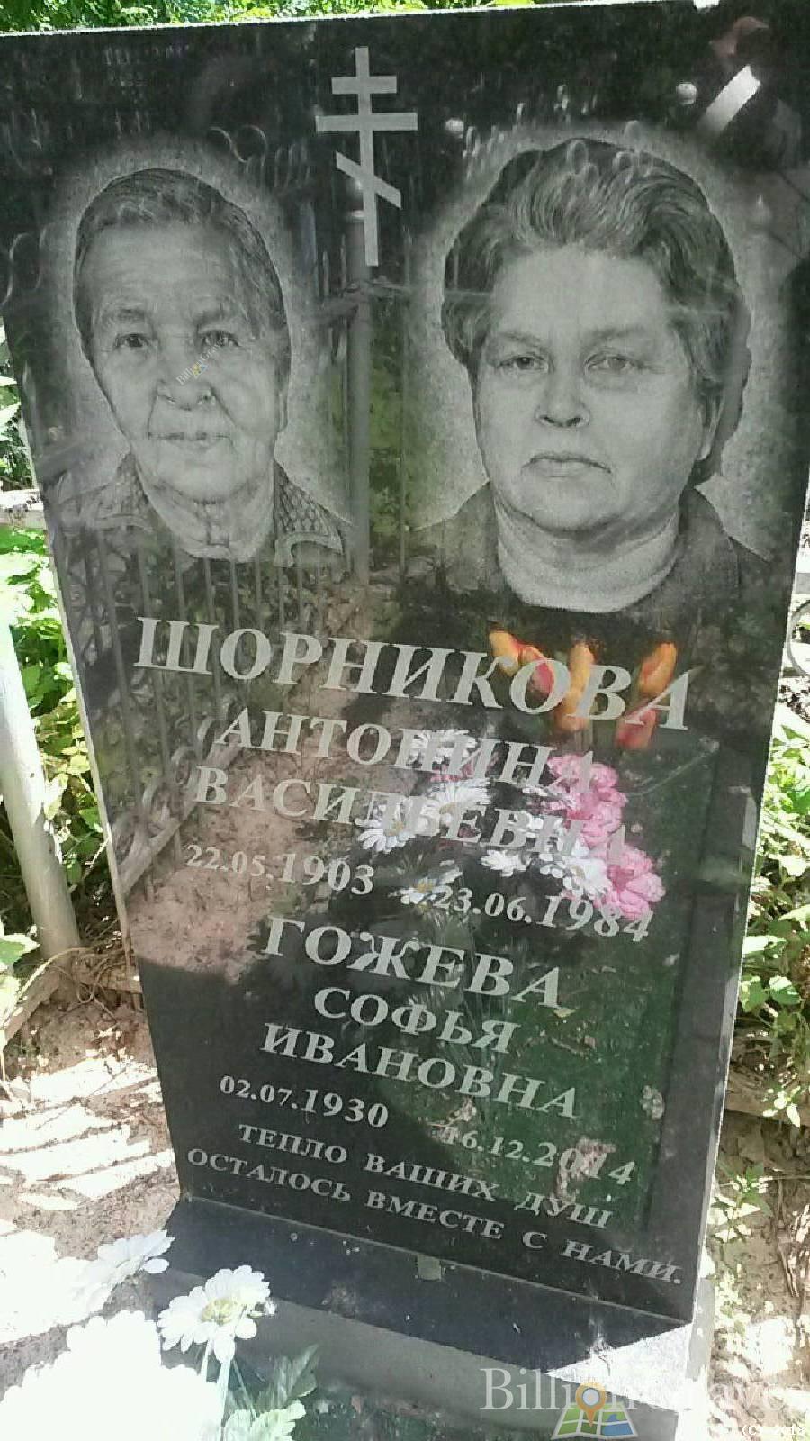 Гожева Софья Ивановна