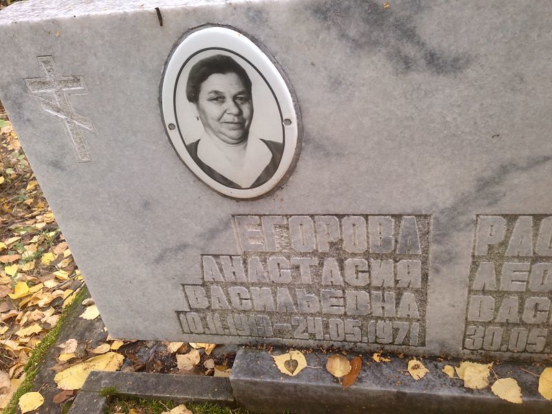 Егорова Анастасия Васильевна