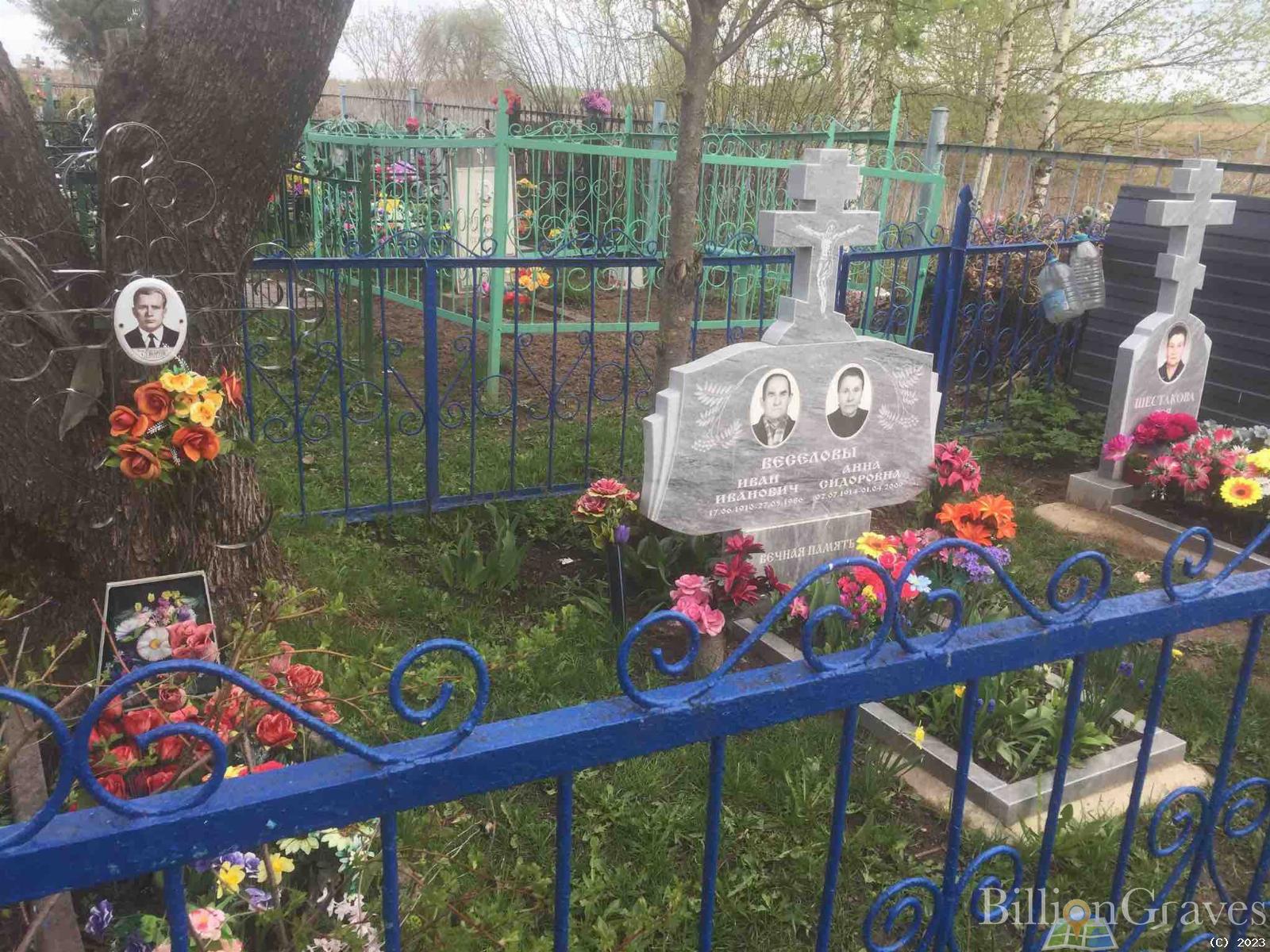 Веселова Анна Сидоровна