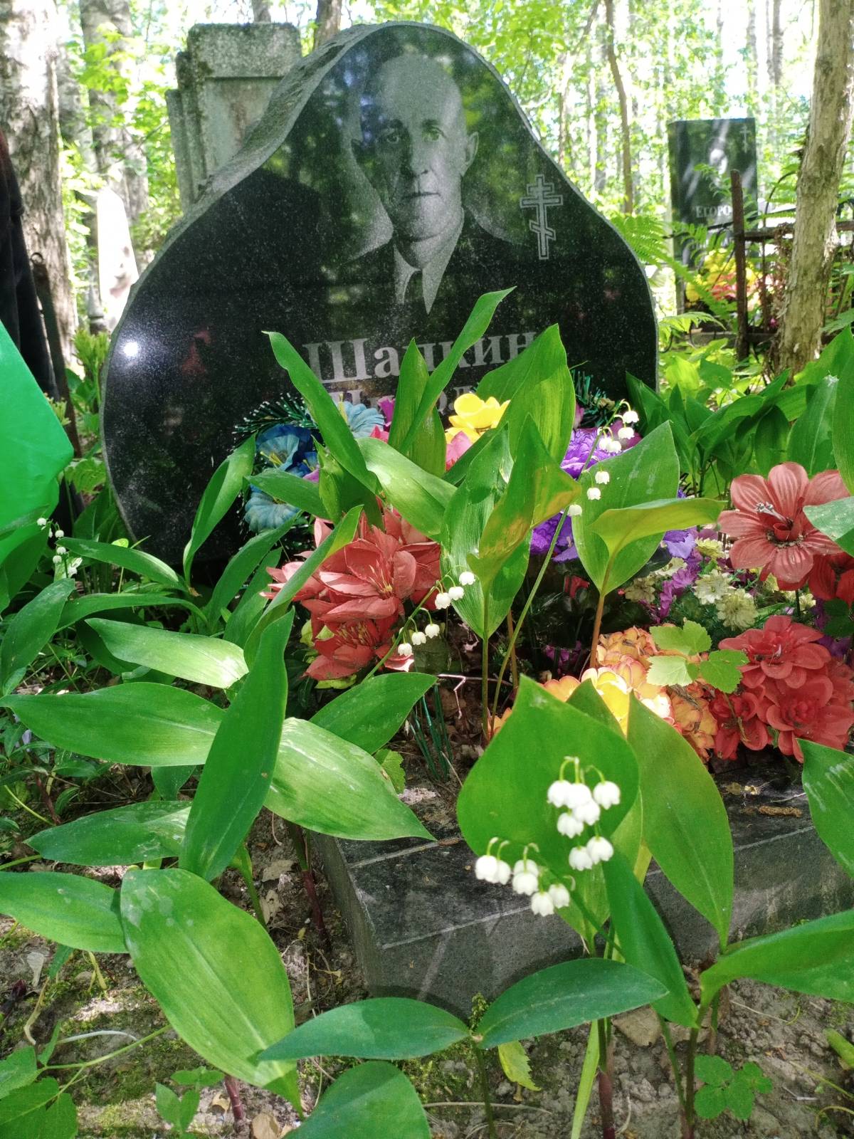 Шапкин Николай Александрович