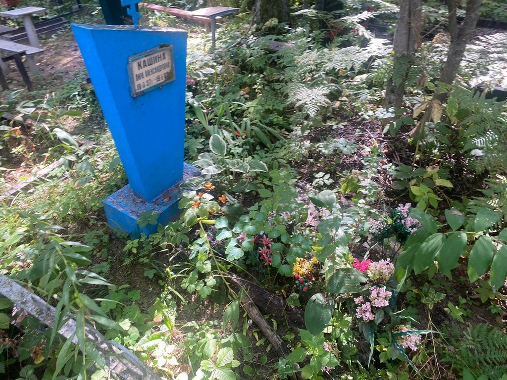 Кашина Лира Александровна