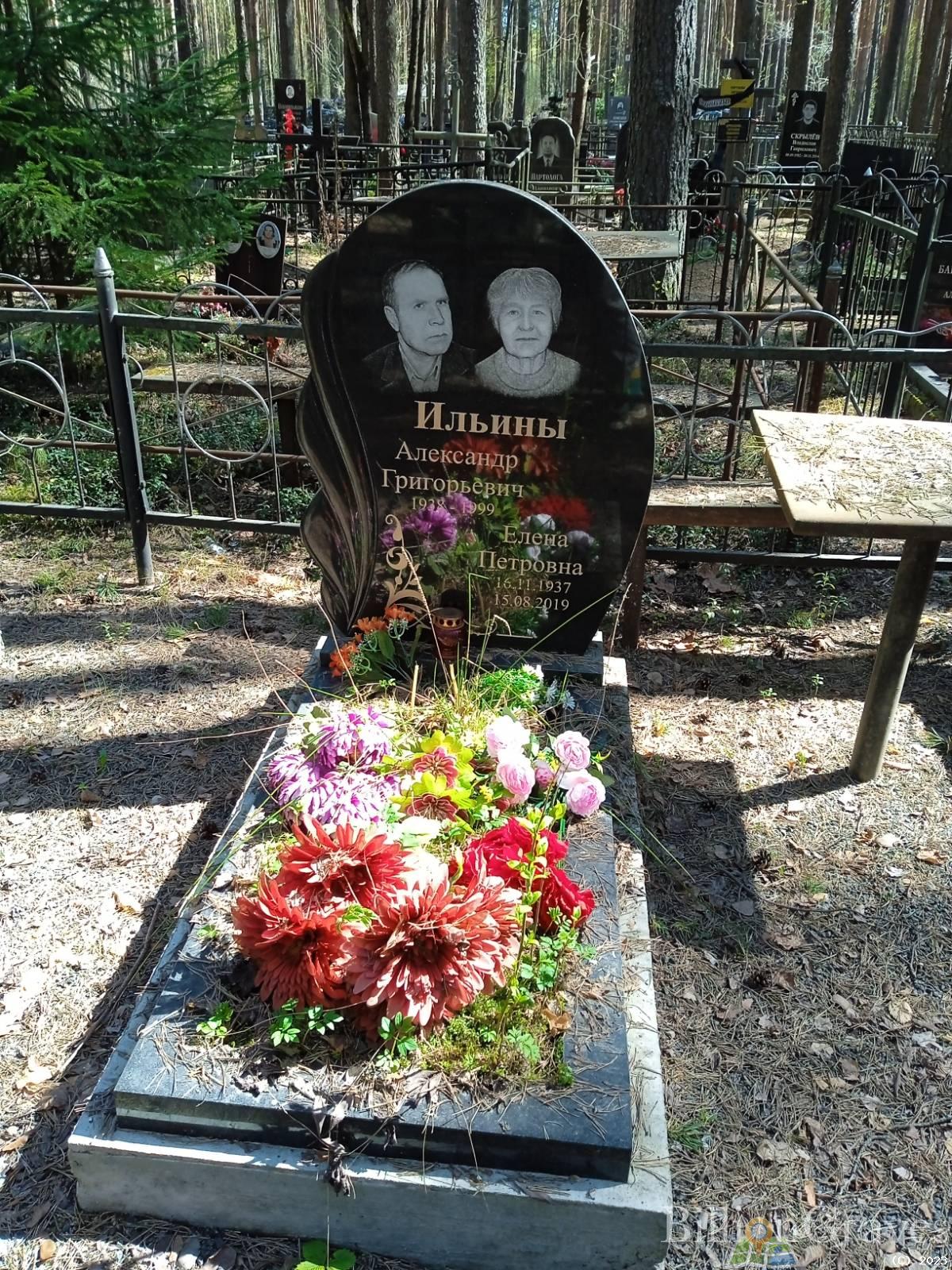 Ильина Елена Петровна