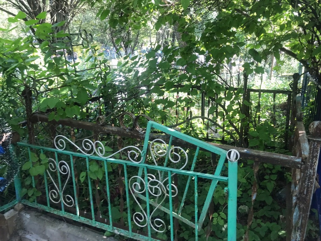 Чурина Елизавета Петровна