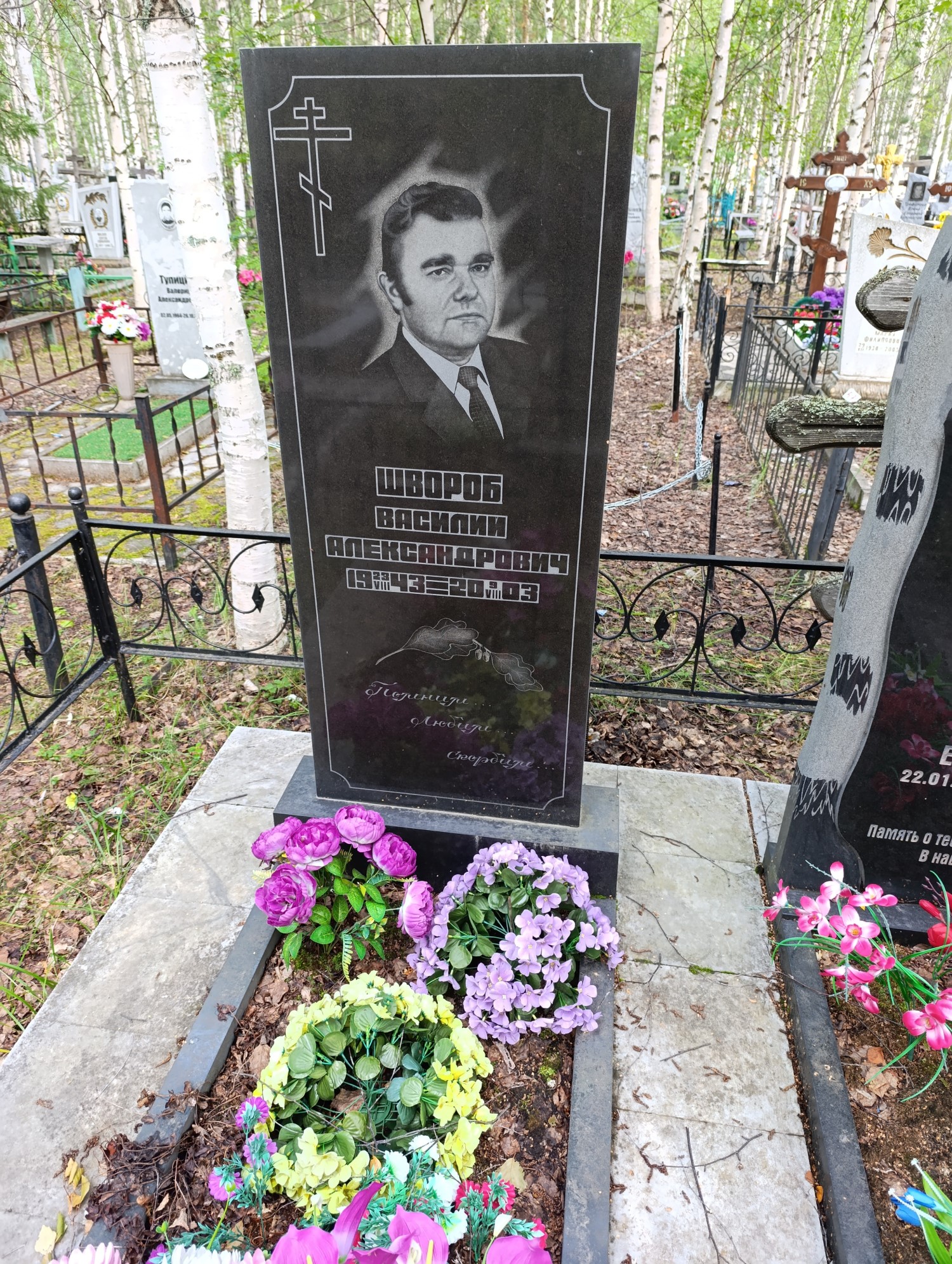 Швороб Василий Александрович