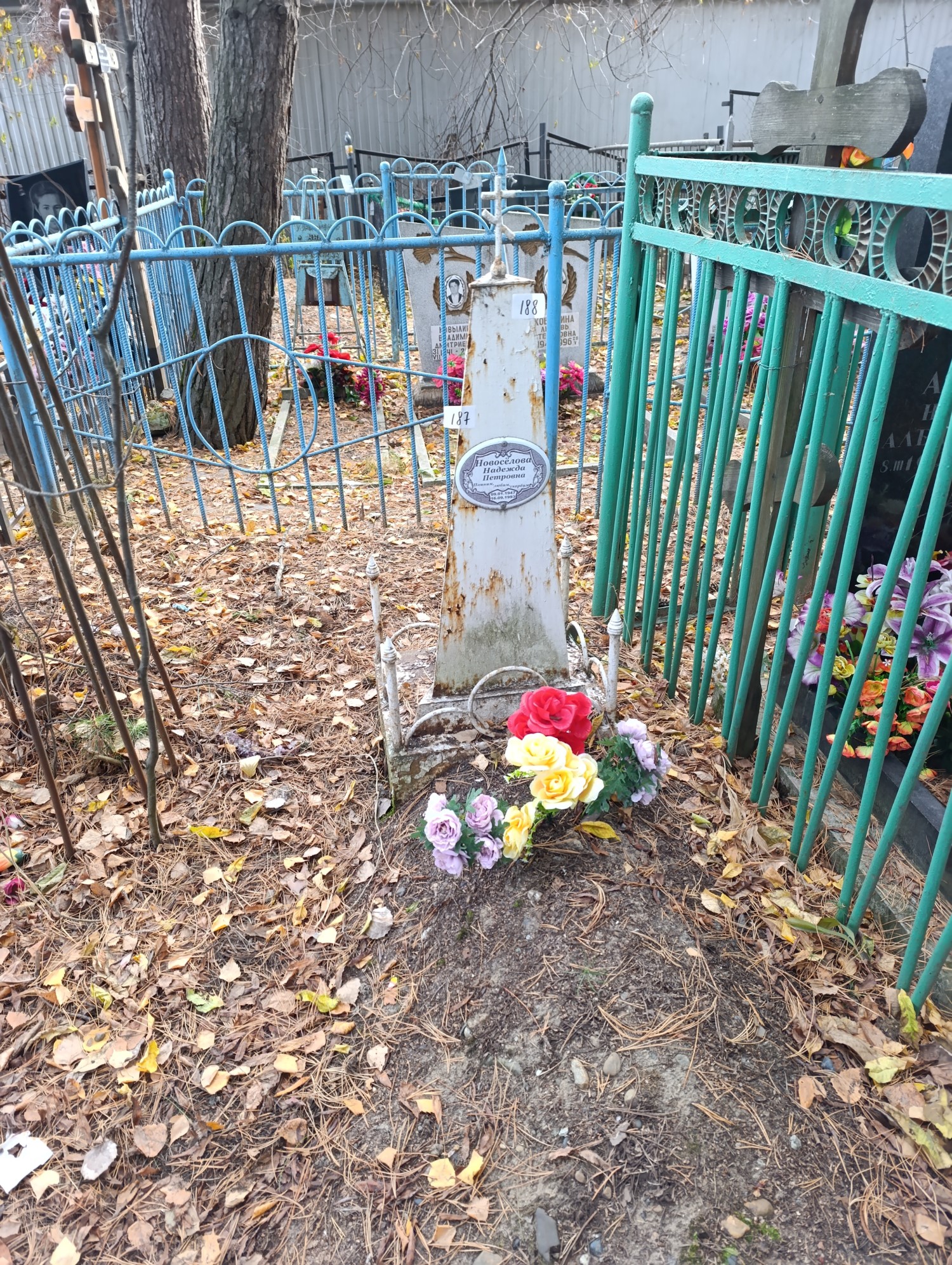 Новоселова Надежда Петровна