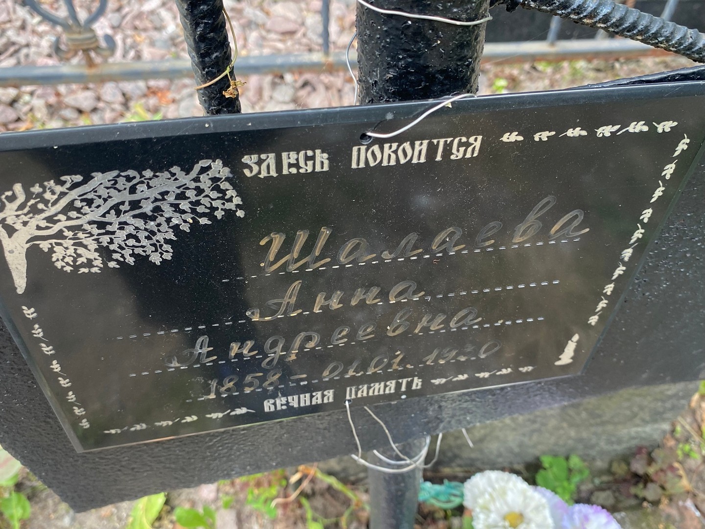 Шалаева