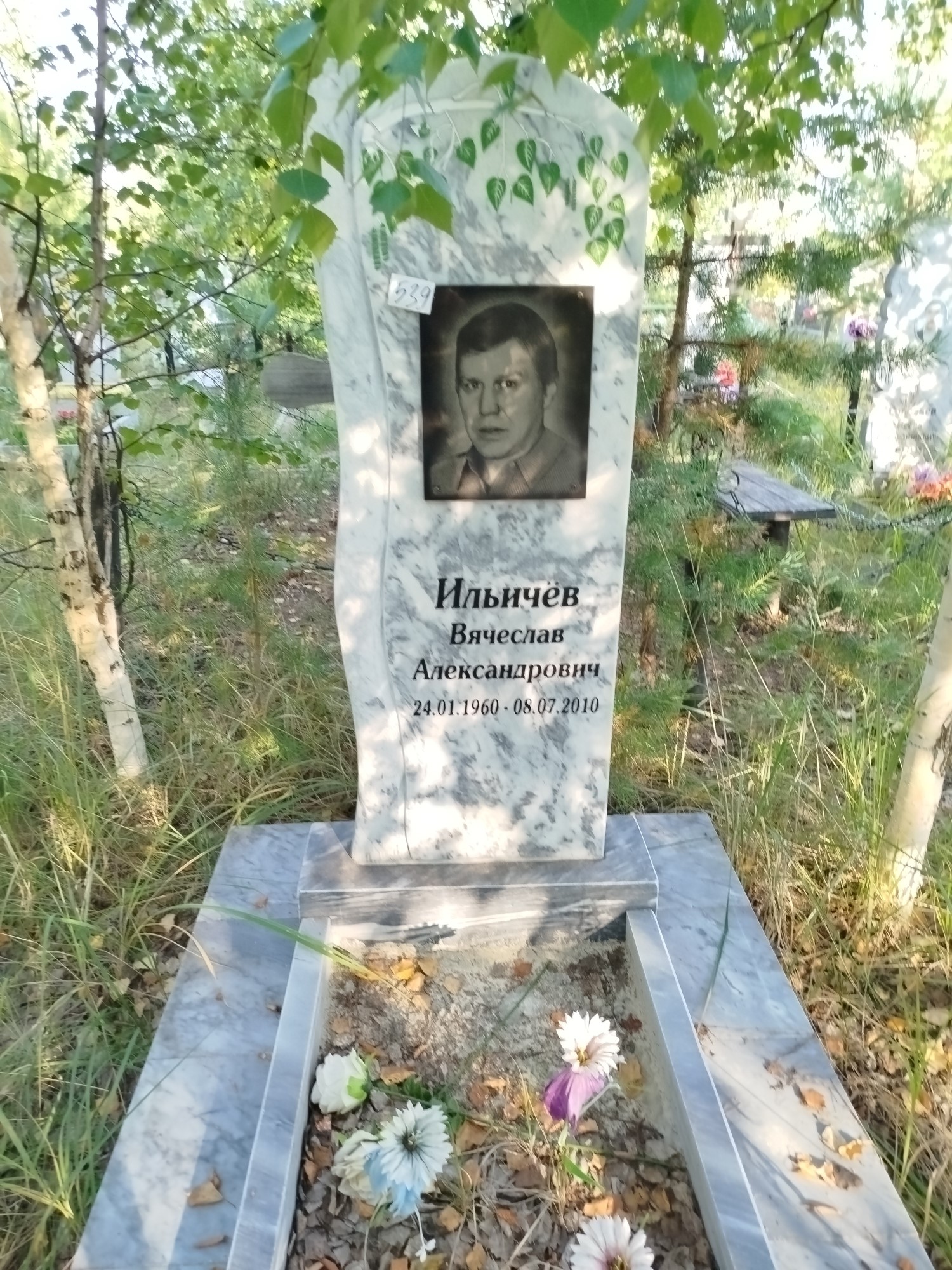 Ильичев Вячеслав Александрович