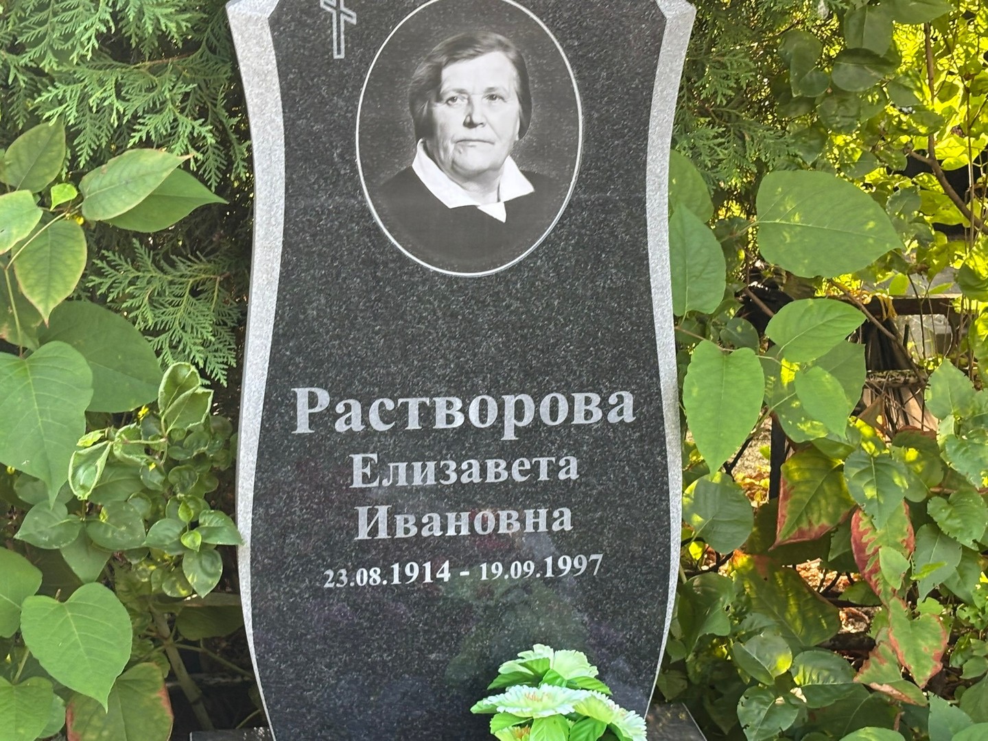 Растворова