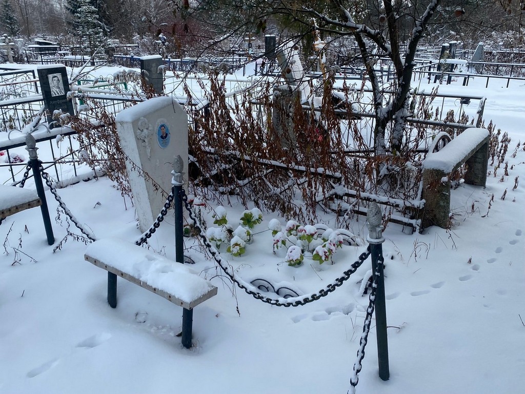 Чекушев Виктор Николаевич