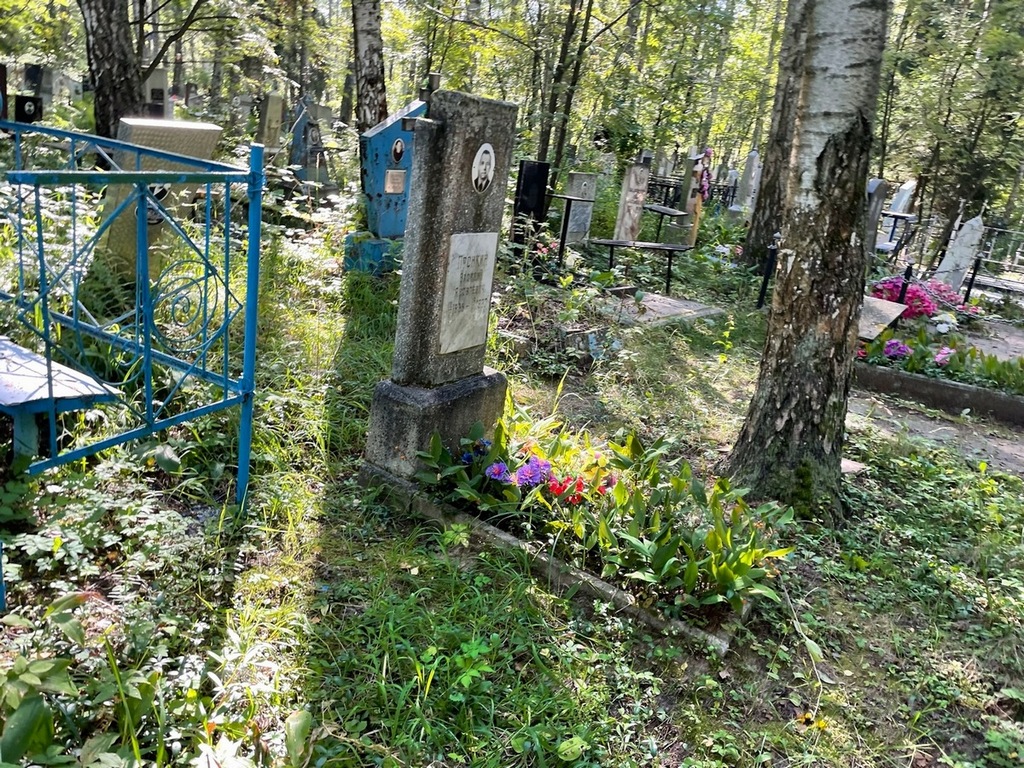 Пронкин Василий Яковлевич