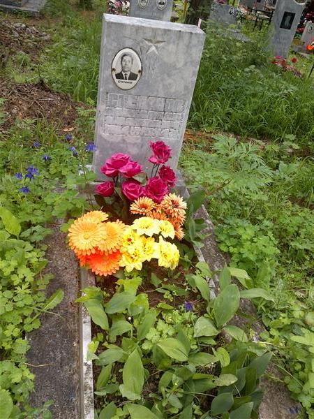 Стеланов Александр Иванович