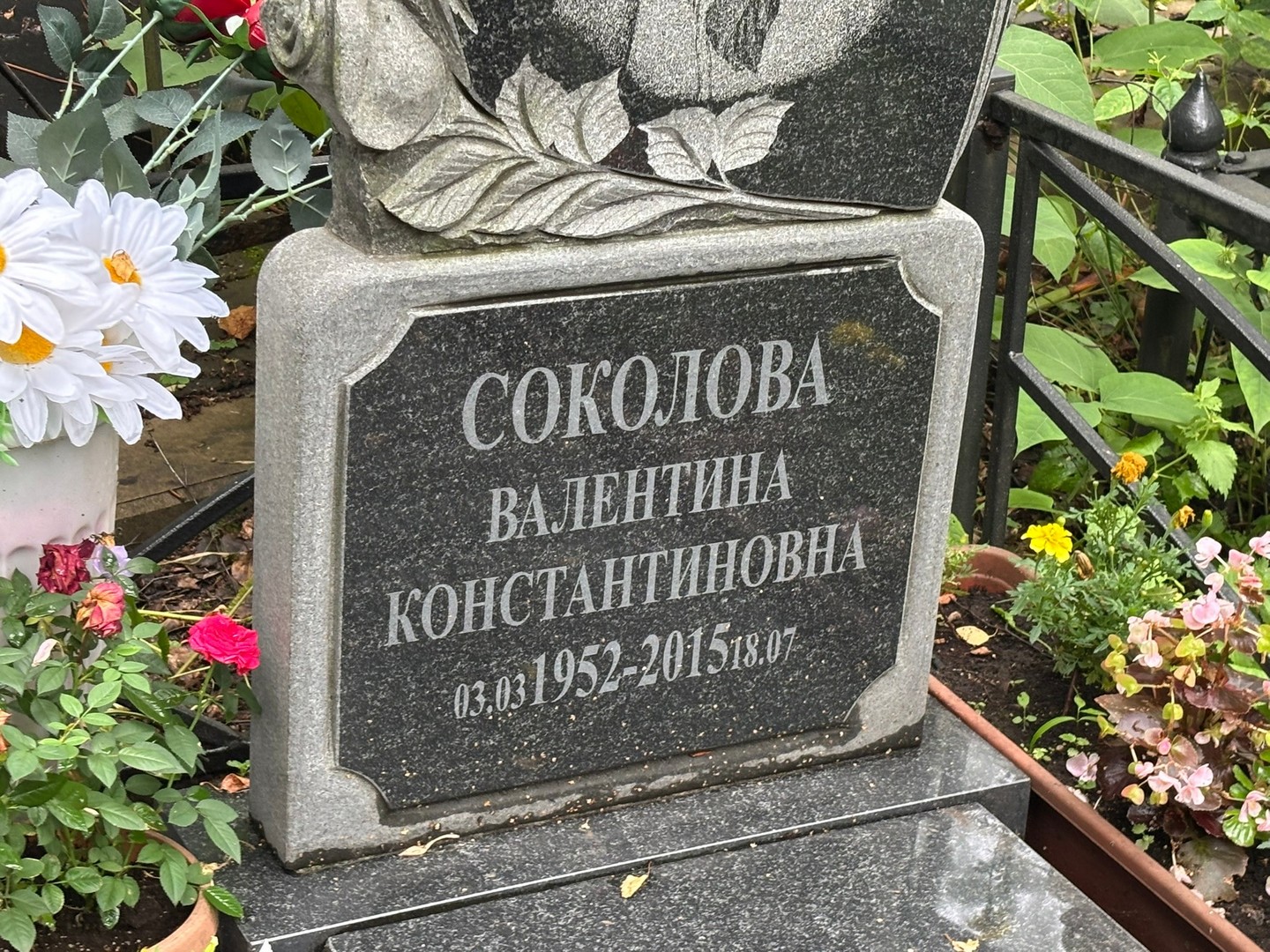 Соколова