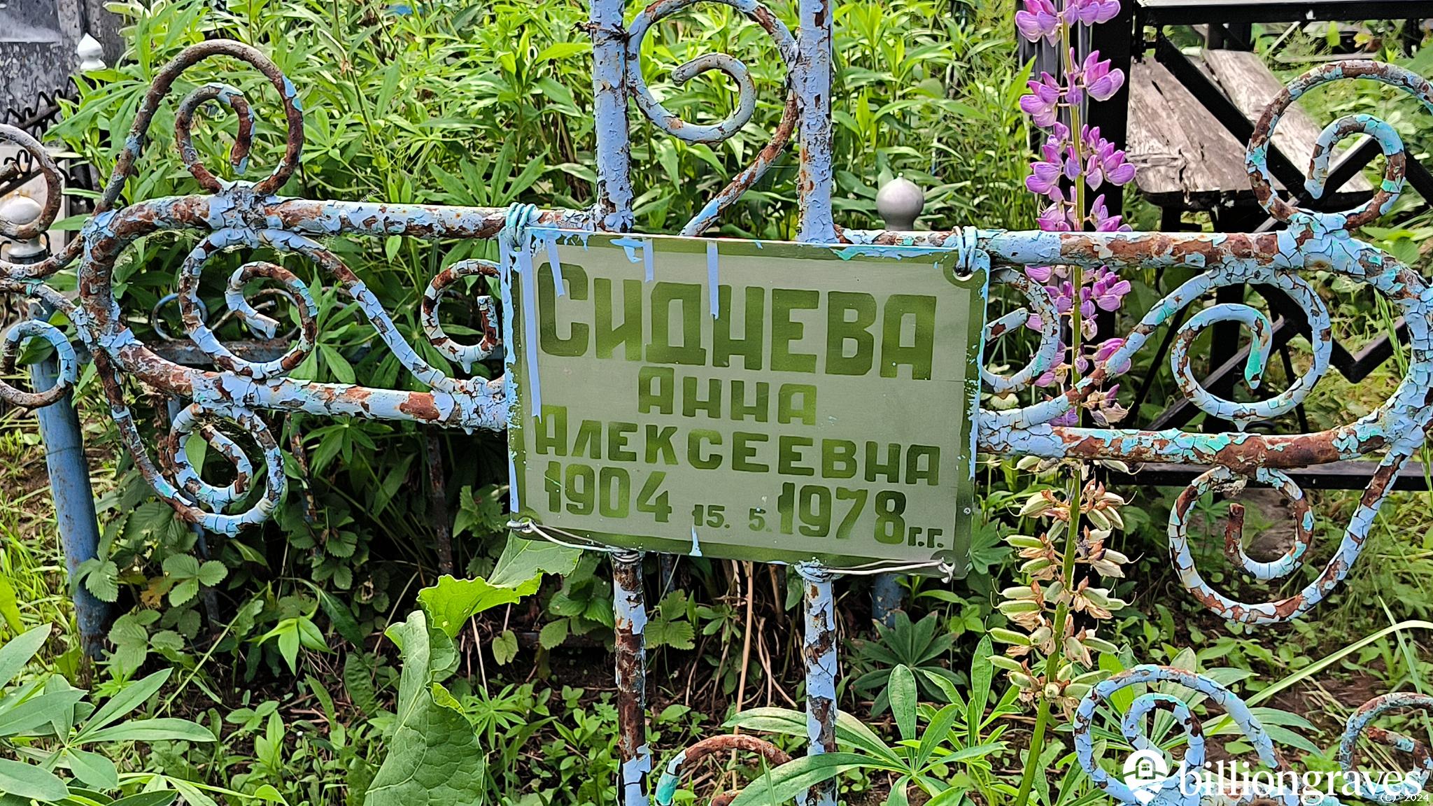 Сиднева Анна Алексеевна