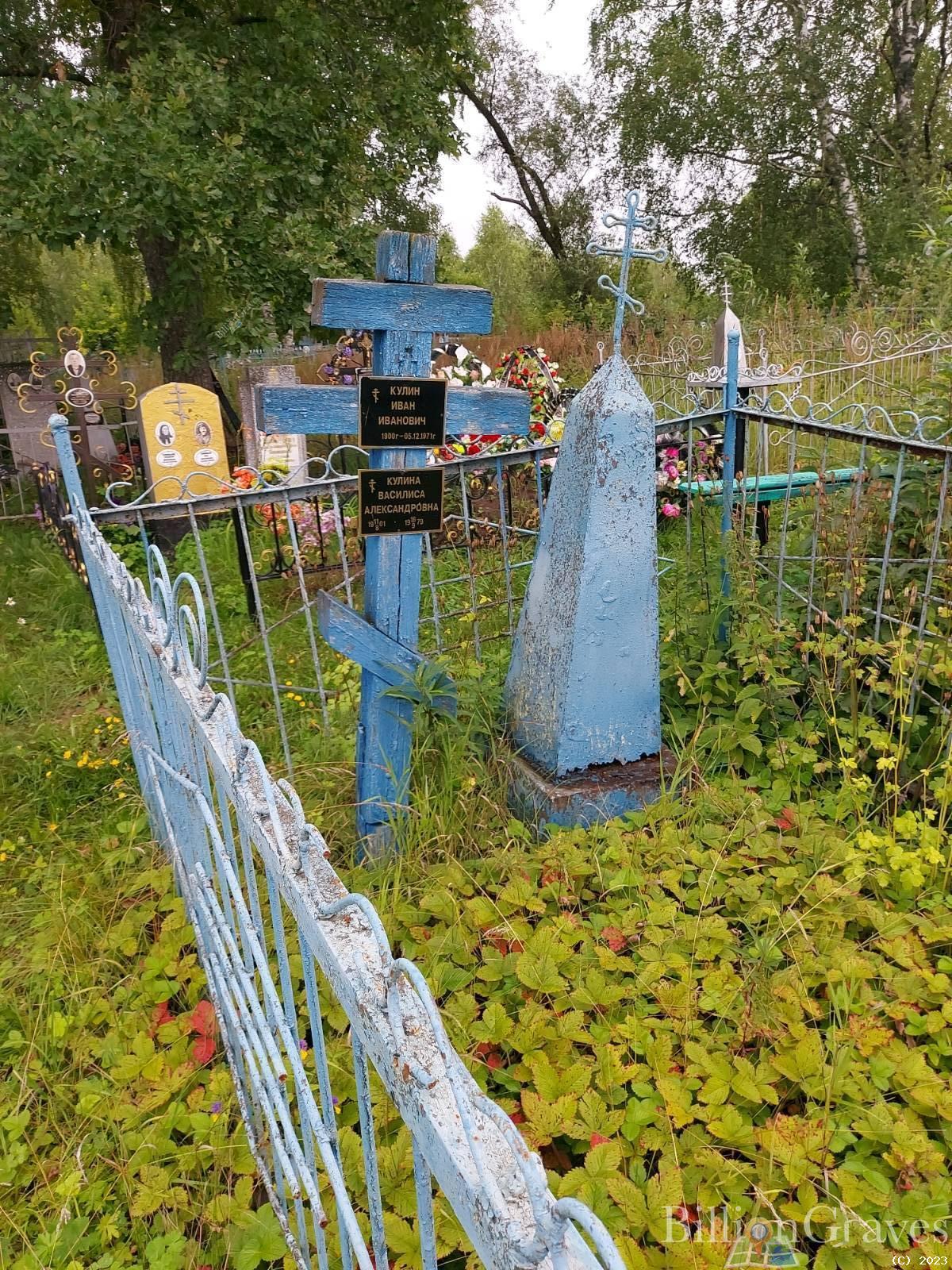 Кулина Василиса Александровна