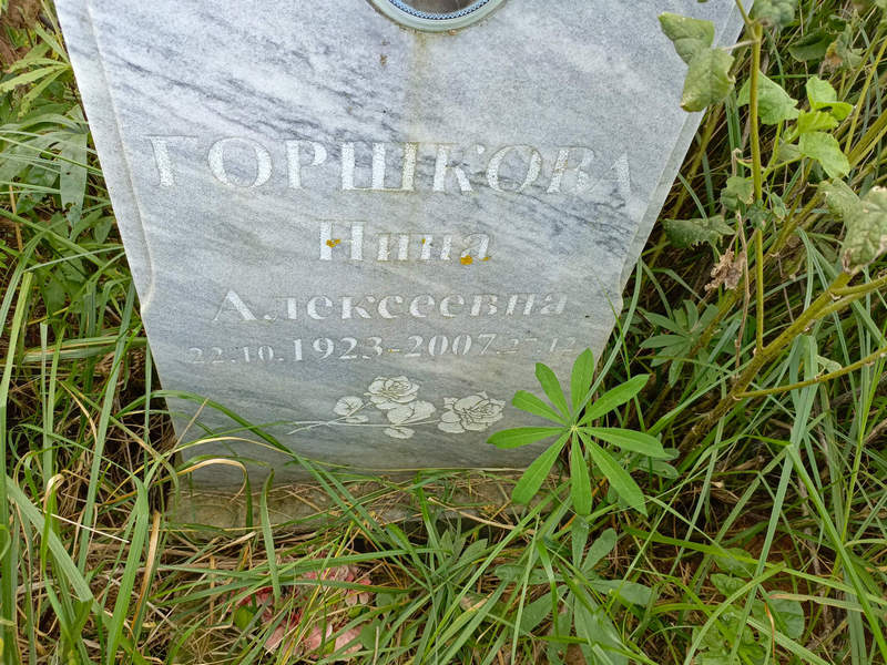 Горшкова