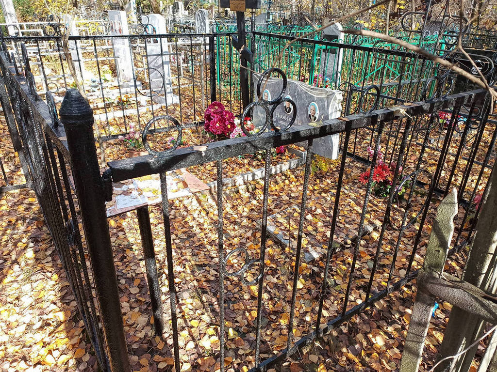 Новиков Александр Яковлевич