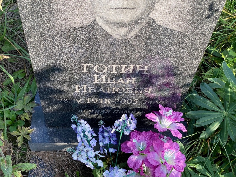 Готин