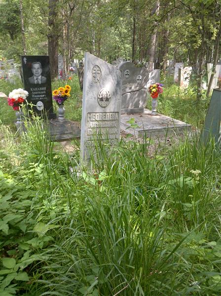 Медведева Антонина Евграфовна